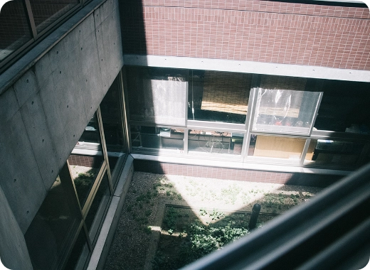 中庭