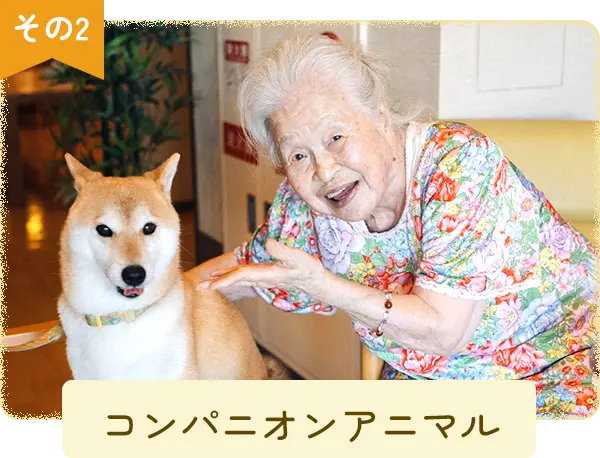 コンパニオンアニマル